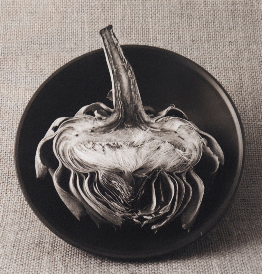 Artichoke #6 - 8"x8" Platinum Print
