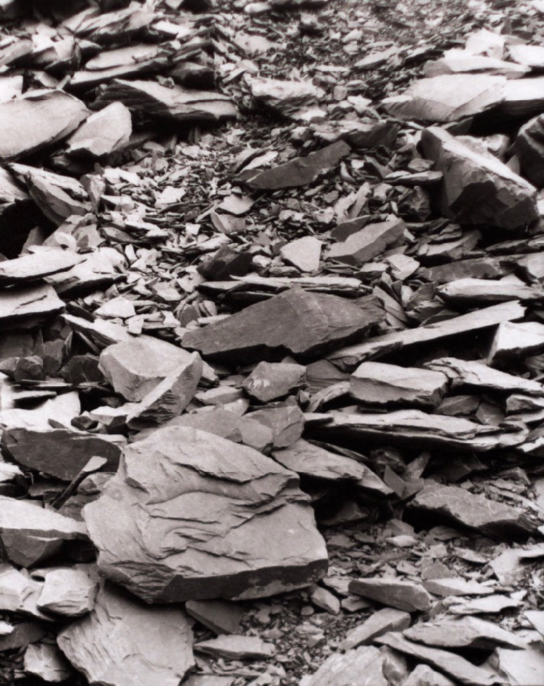 Slate #1 - 4"x5" Platinum Print