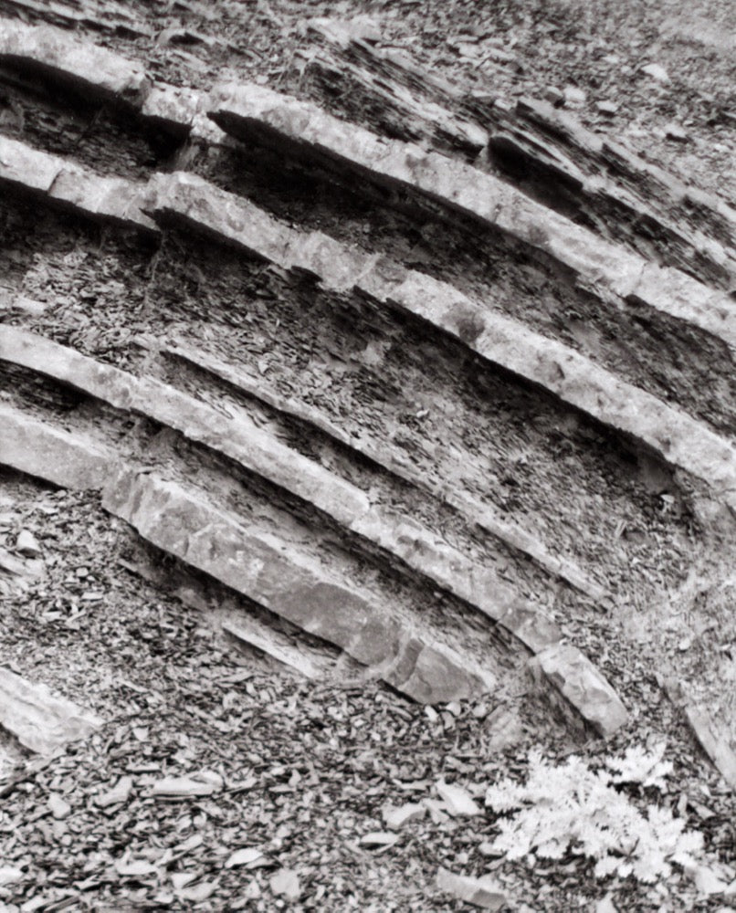 Strata #1 - 4"x5" Platinum Print