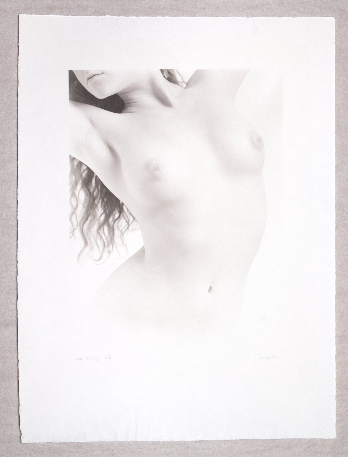 Venus Rising