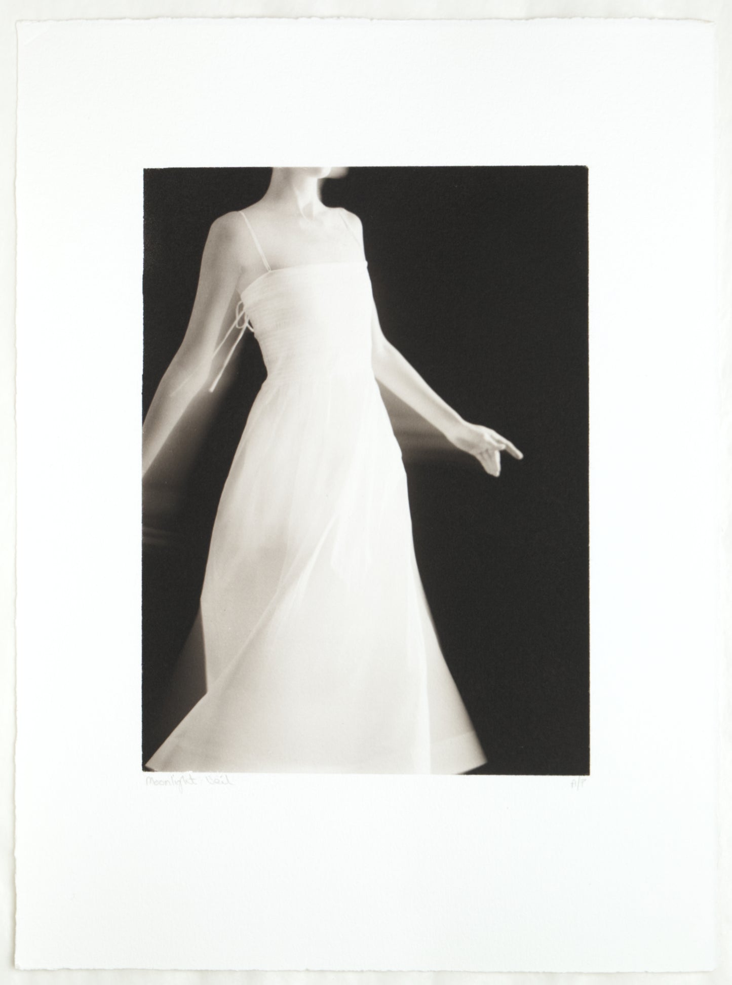 Moonlight Veil