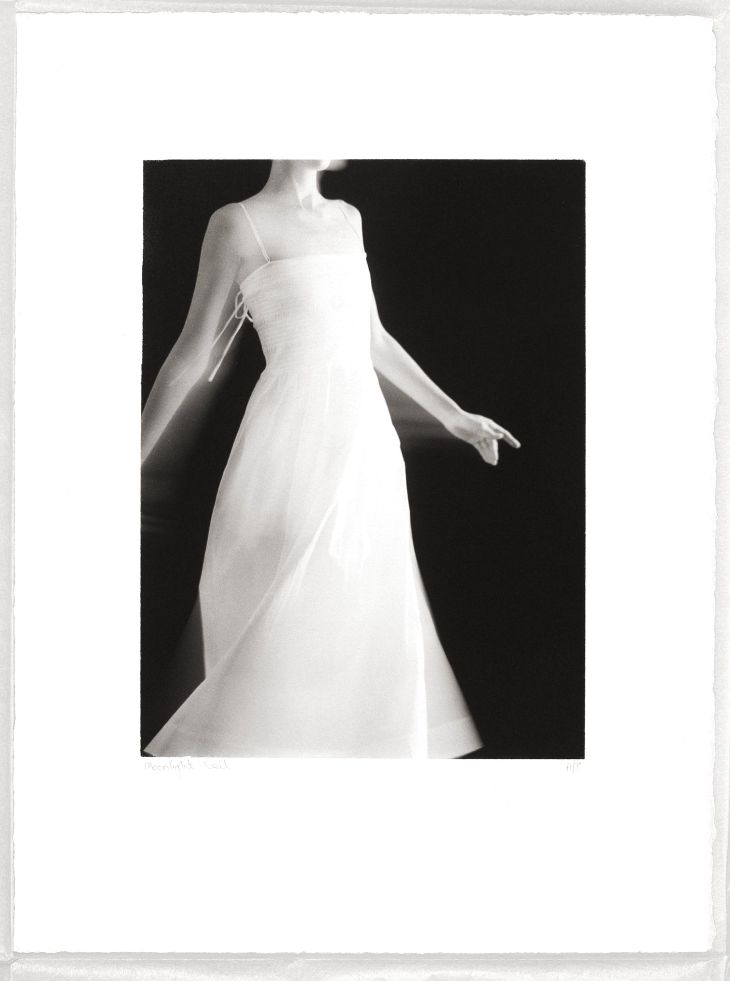 Moonlight Veil