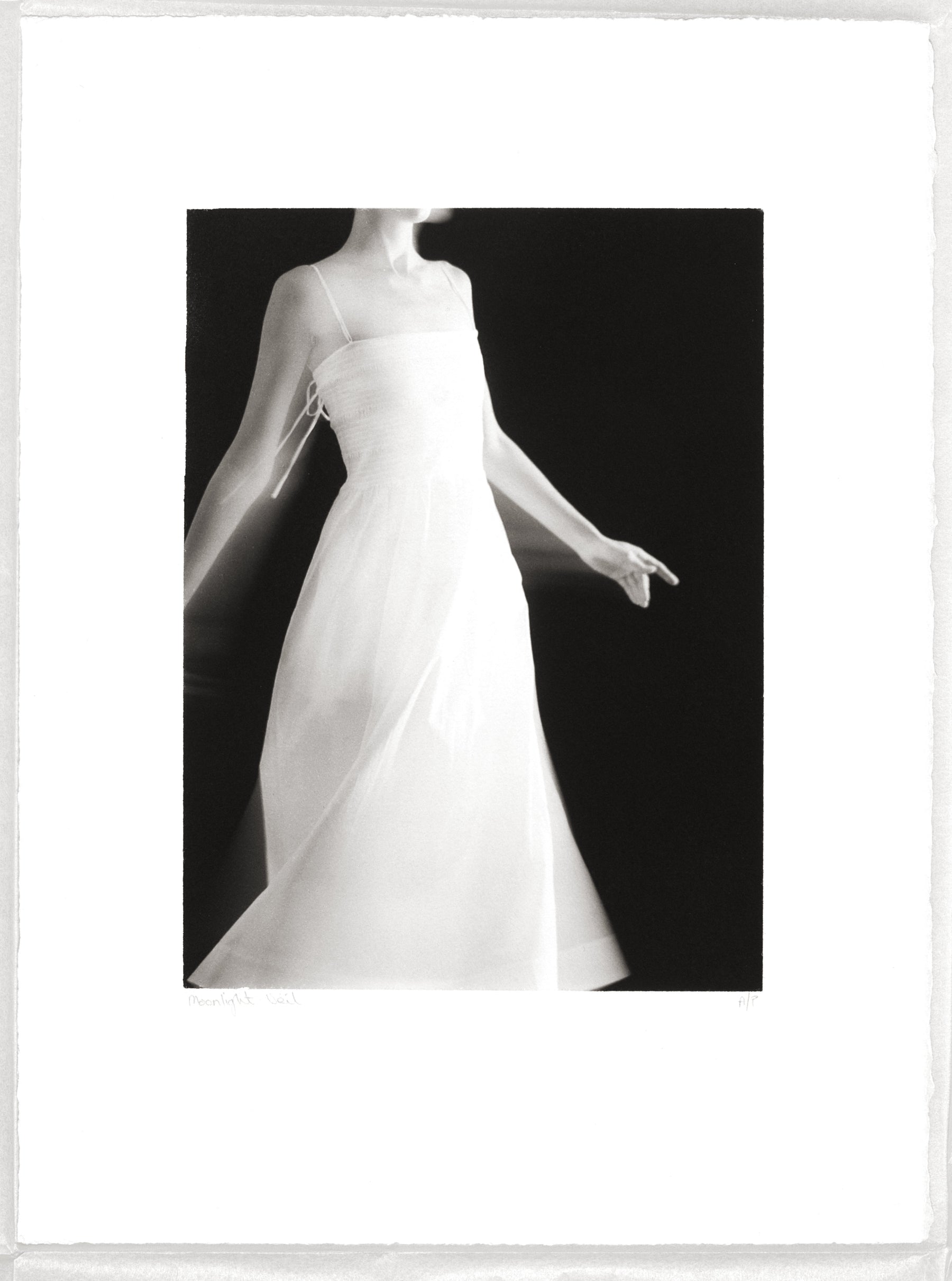 Moonlight Veil