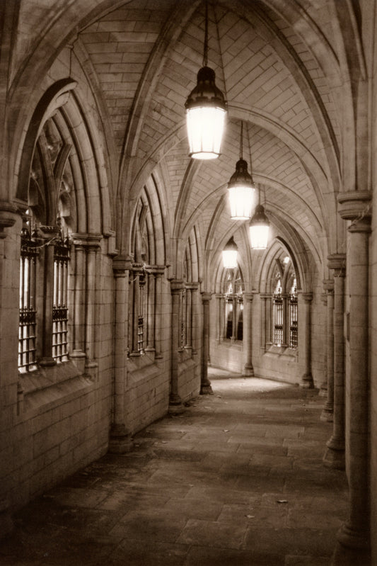 St. Mary Abbots Cloister