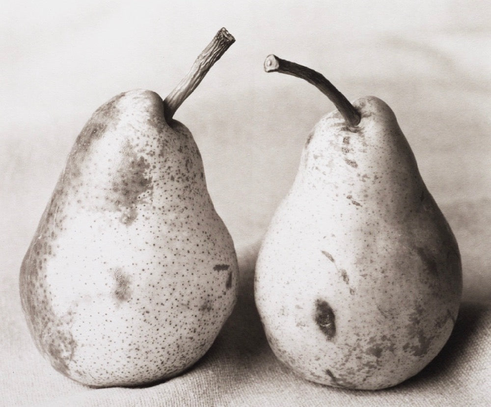 Two Pears - 8"x10" Platinum Print